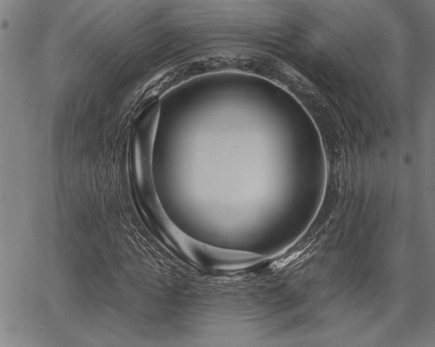 X0000067910822200604131341