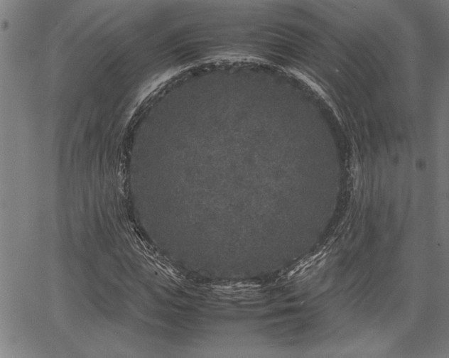 X0000067910823200604131341