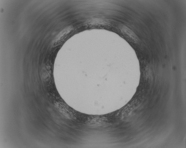 X0000067910824200604131341