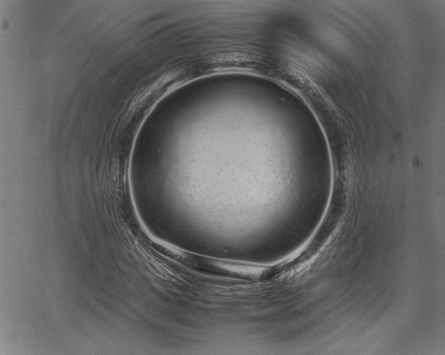 X0000067910825200604131341