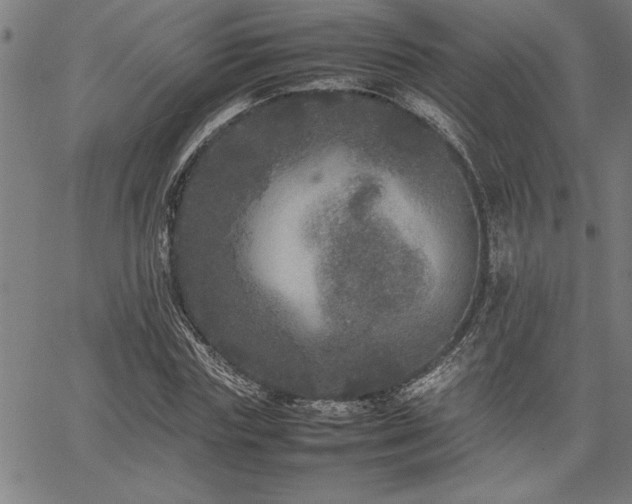 X0000067910827200604131341