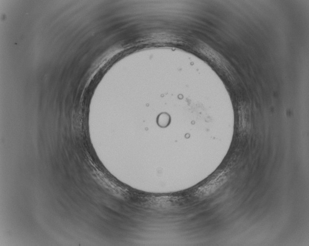 X0000067910828200604131341