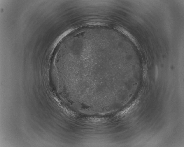 X0000067910829200604131341