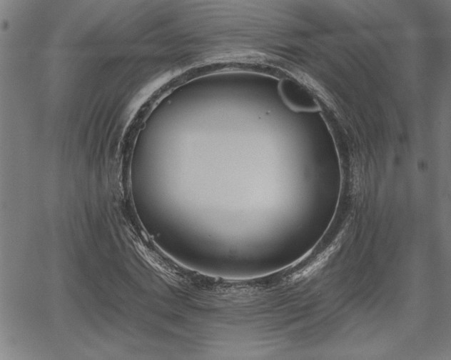 X0000067910830200604131341