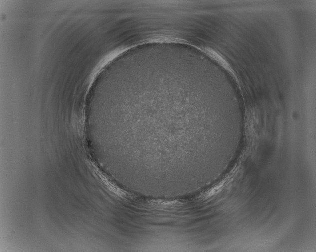 X0000067910831200604131341