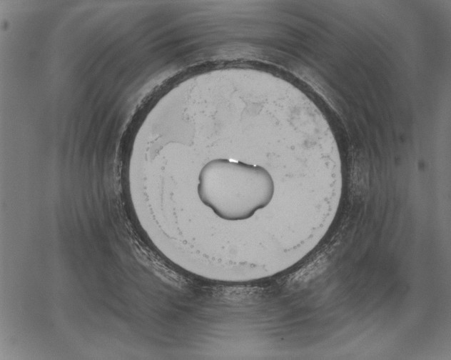 X0000067910832200604131341