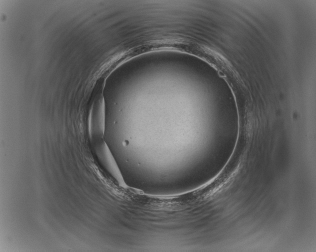 X0000067910833200604131341