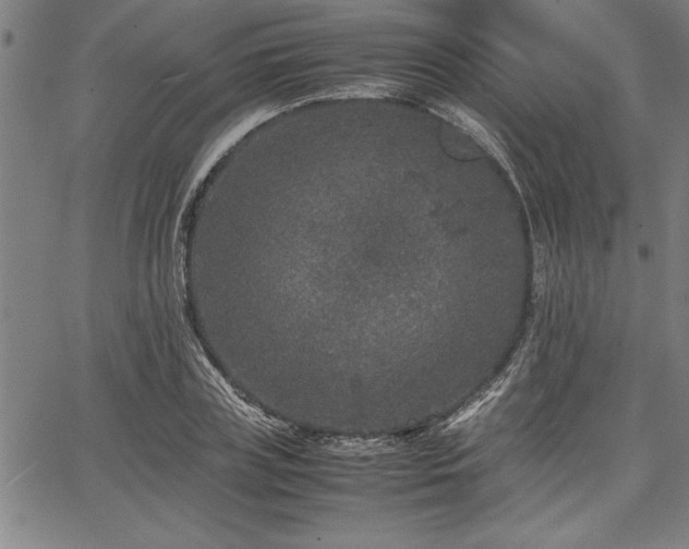 X0000067910835200604131341