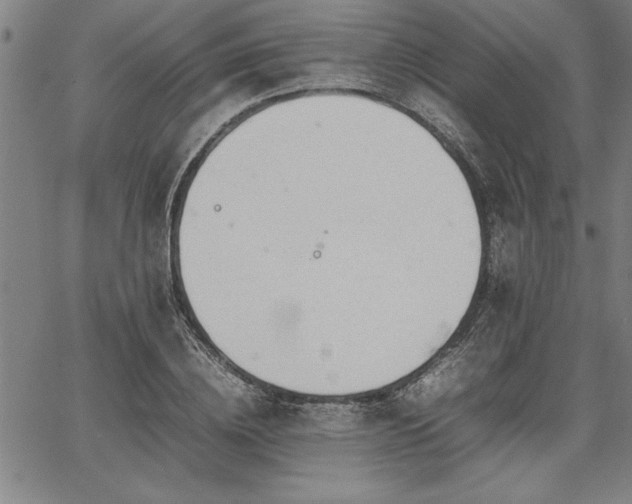 X0000067910836200604131341