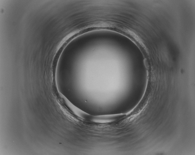 X0000067910837200604131341