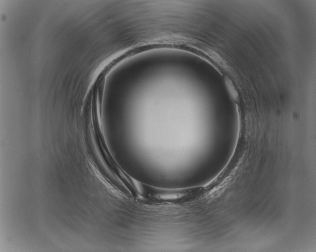 X0000067910838200604131341