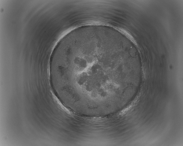 X0000067910839200604131341