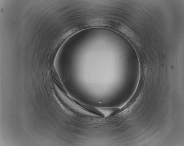 X0000067910841200604131341