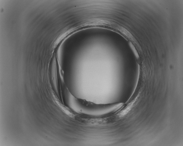 X0000067910842200604131341