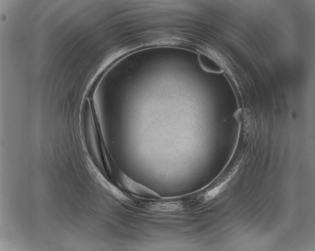 X0000067910843200604131341