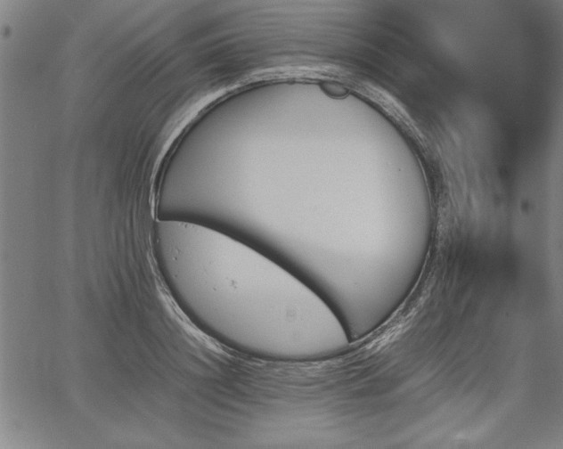 X0000067910844200604131341