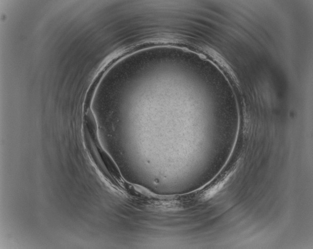 X0000067910845200604131341