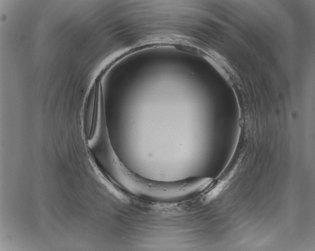 X0000067910846200604131341