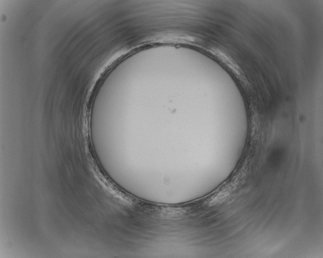 X0000067910848200604131341