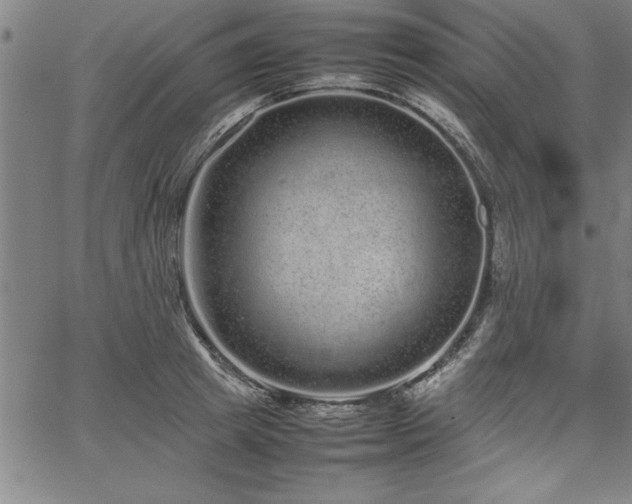 X0000067910849200604131341