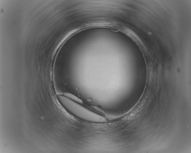 X0000067910852200604131341