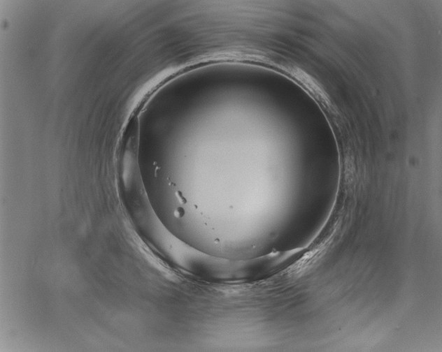 X0000067910854200604131341