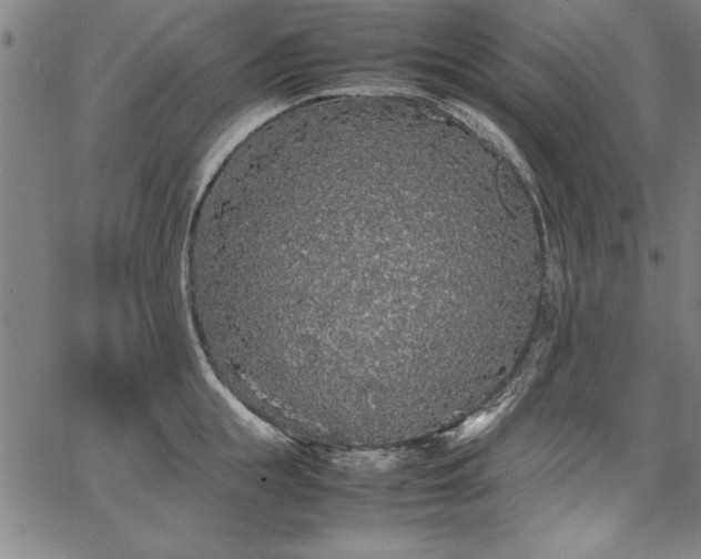 X0000067910855200604131341