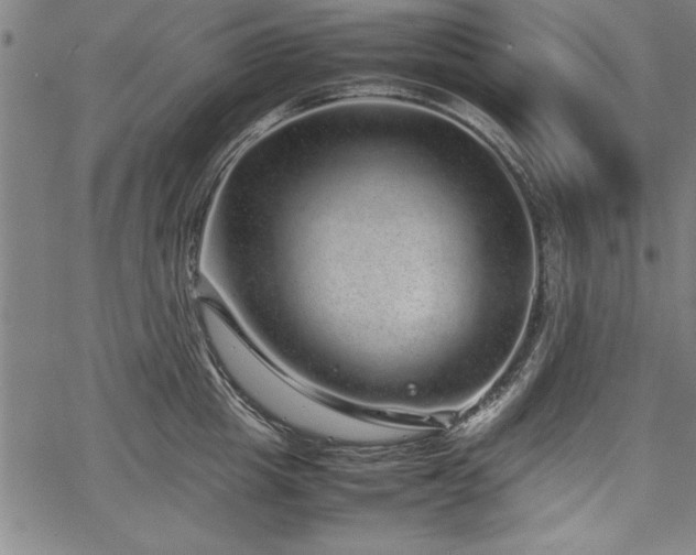 X0000067910857200604131342