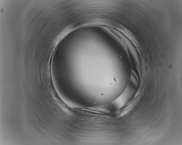 X0000067910858200604131342