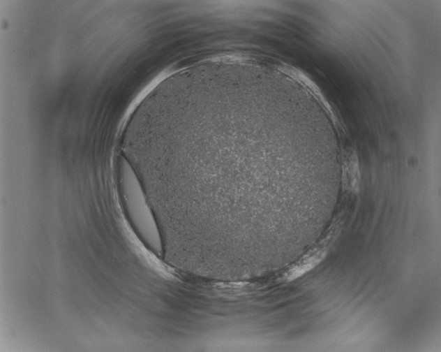 X0000067910859200604131342