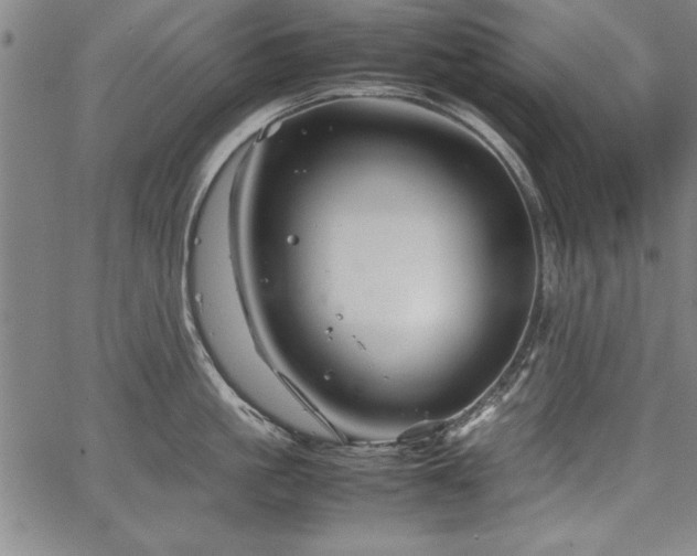 X0000067910861200604131342