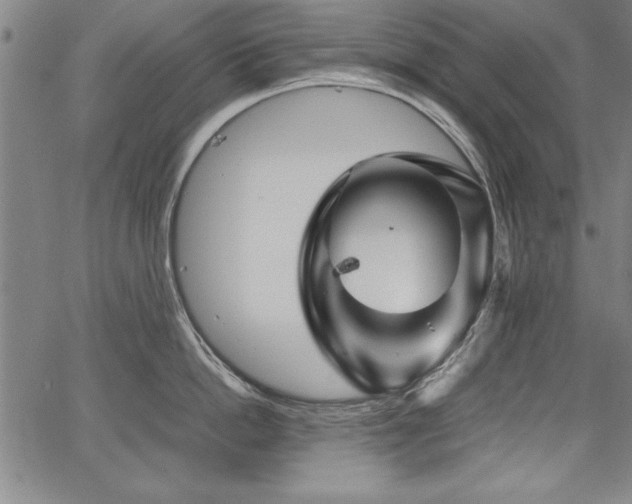 X0000067910862200604131342