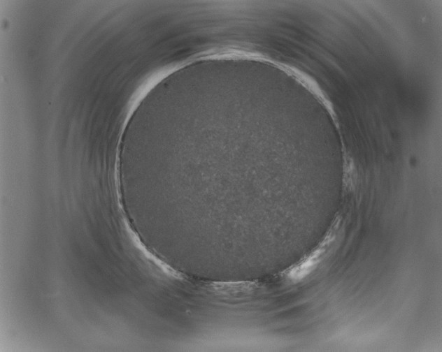 X0000067910863200604131342