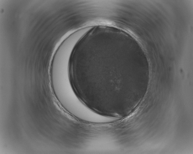 X0000067910864200604131342