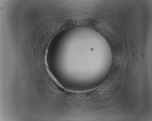 X0000067910865200604131341