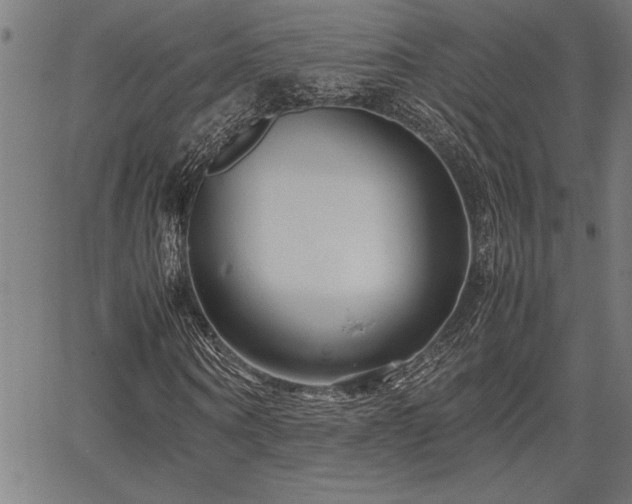 X0000067910866200604131341