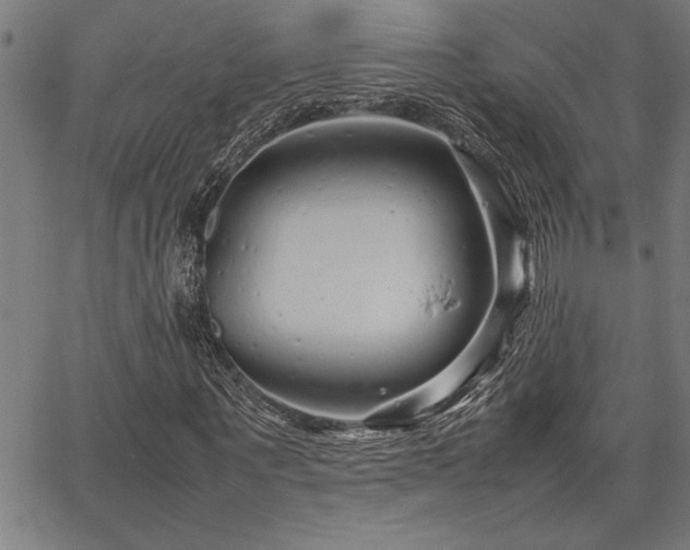 X0000067910867200604131341