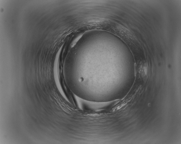 X0000067910868200604131341