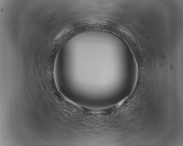 X0000067910869200604131341