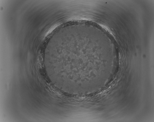 X0000067910871200604131341