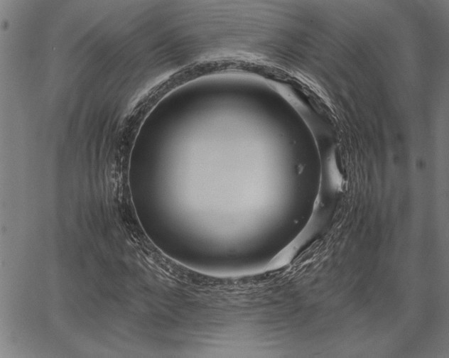 X0000067910872200604131341