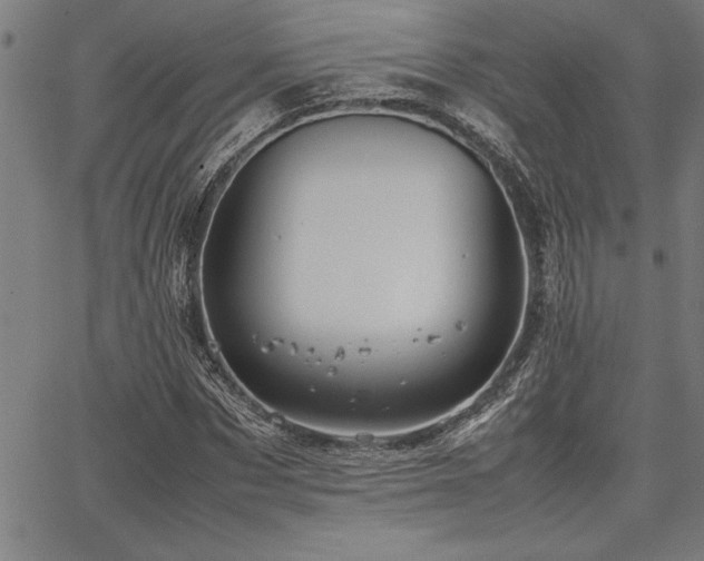 X0000067910873200604131341