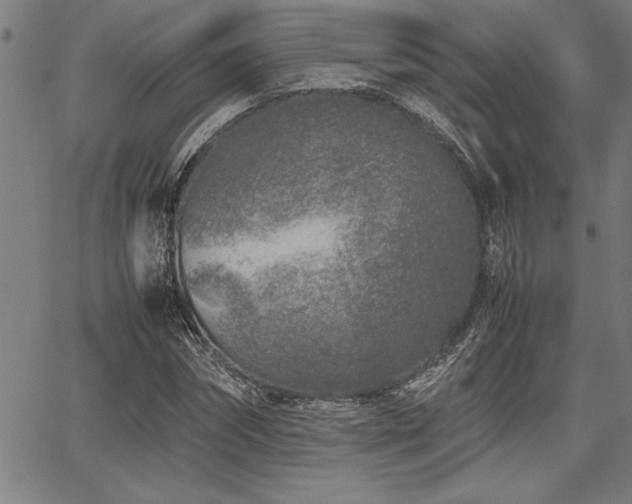 X0000067910874200604131341