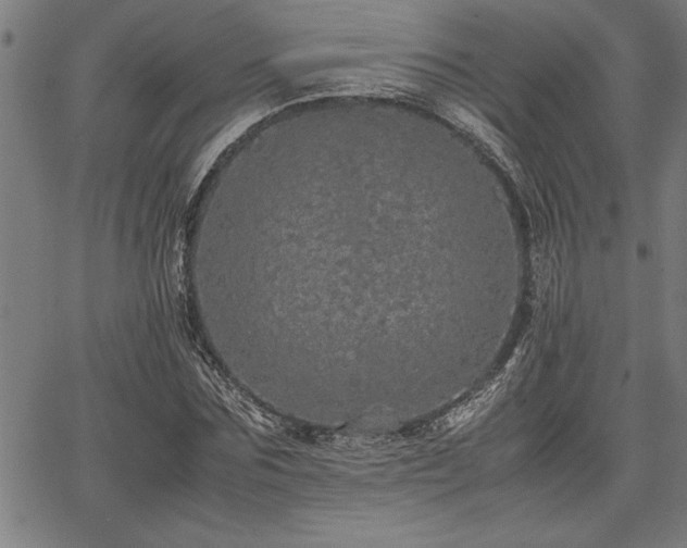 X0000067910875200604131341