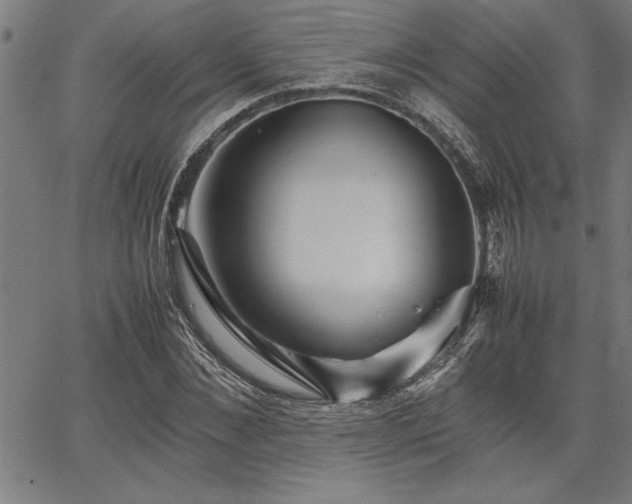 X0000067910876200604131341