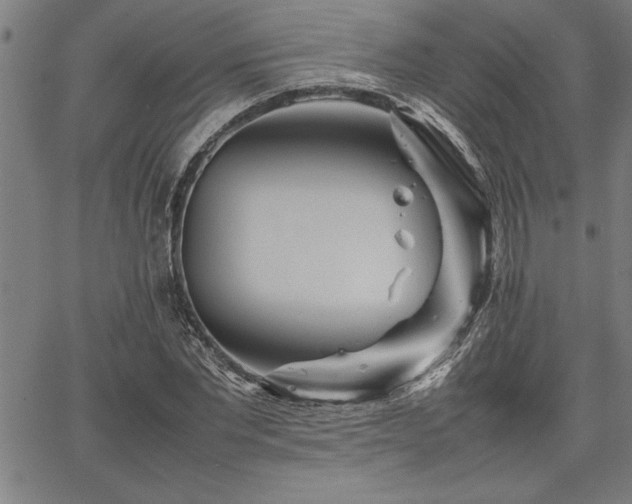 X0000067910877200604131341