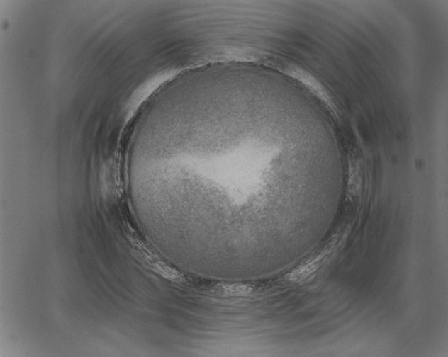 X0000067910878200604131341