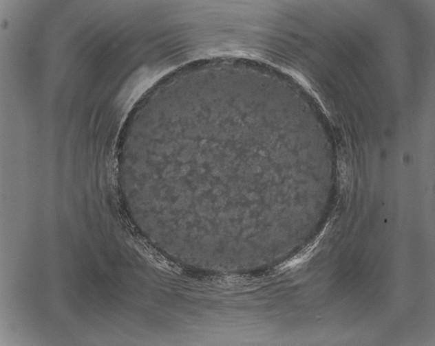 X0000067910879200604131341