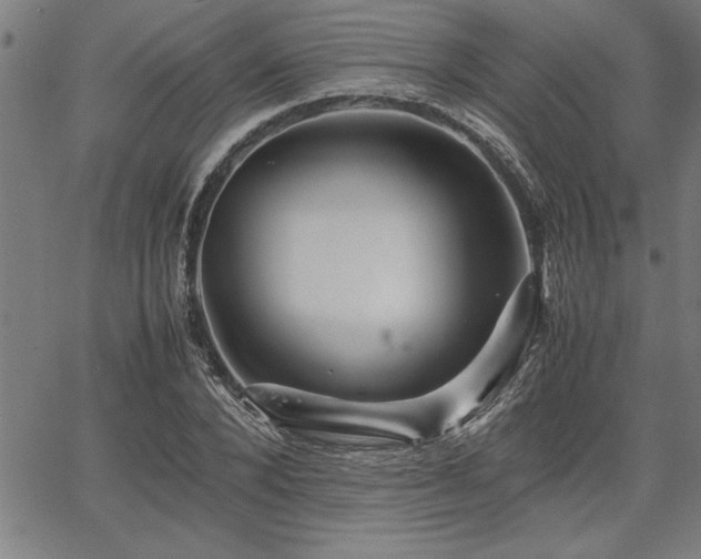 X0000067910880200604131341