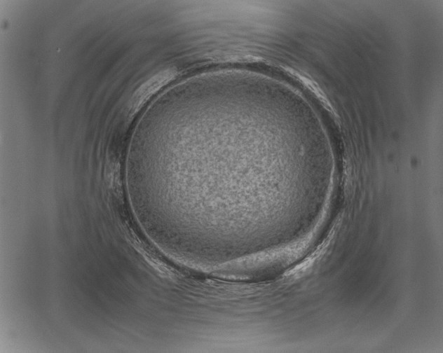 X0000067910881200604131341